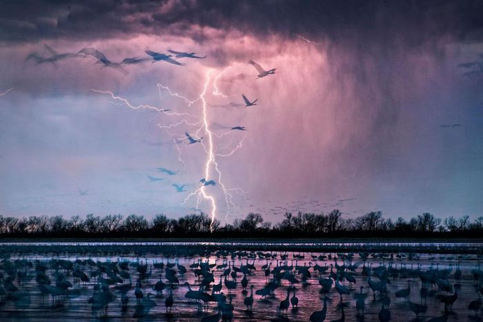 This photo of a lightning has gone viral, because it screams perfection