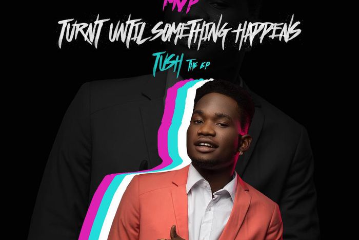 MVP - TUSH Album Art