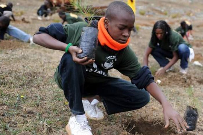 NGO, USAID donates seedlings, foodstuff to IDPs 