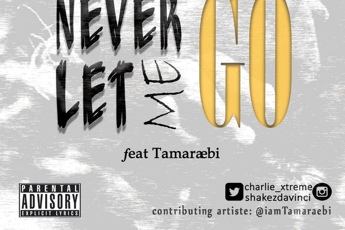 Shakez, Charlie X - 'Never let me go' ft Tamaraebi