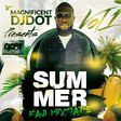 Magnificent DJ Dot - Summer Faji mix.