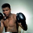 Muhammad Ali poses with gloves in this undated portrait.