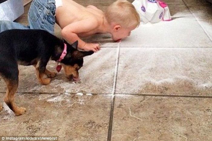 10 funny pictures that would make you hate kids