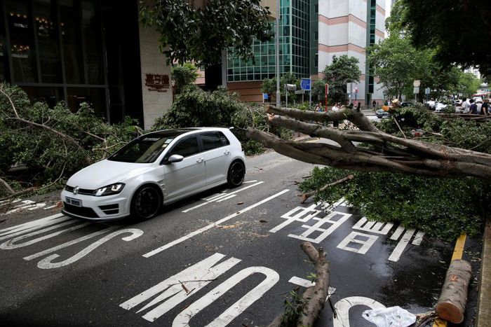 A vehicle drives among trees uprooted by strong winds from Typhoon Nida in Hong Kong, China August 2, 2016.