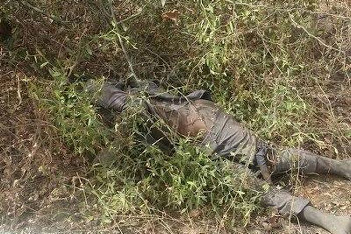 Soldiers kill terrorists in Borno state