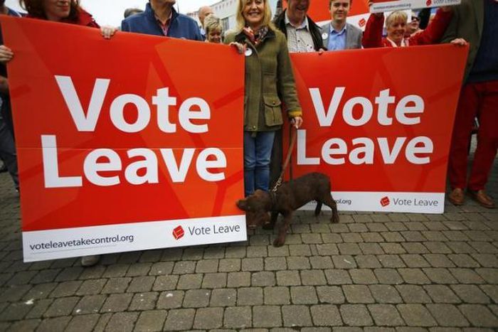 Pro-Brexit lawmakers vow to block proposed emergency budget-Vote Leave