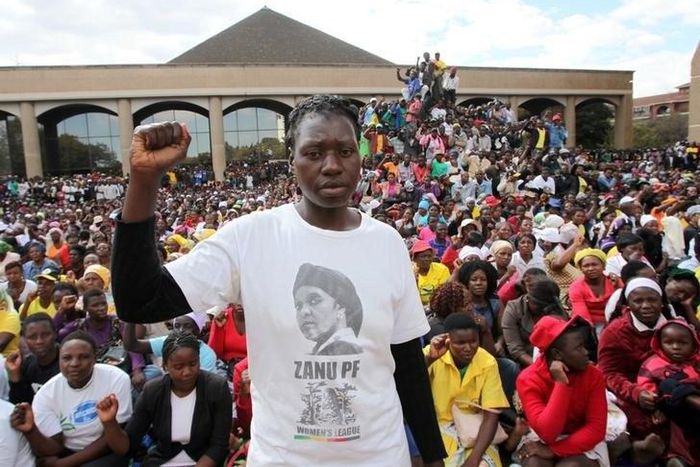 Mugabe's supporters march against Zimbabwe protests