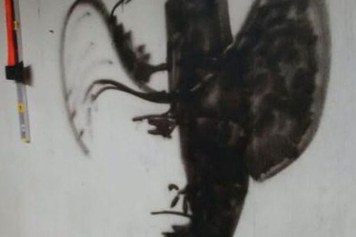 What do you think is in this picture