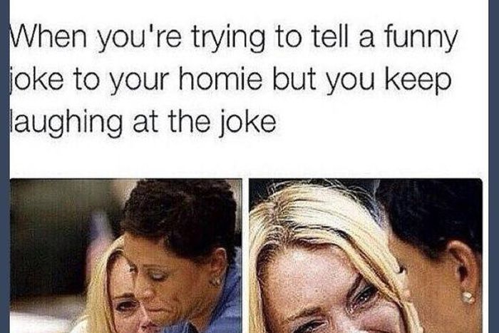 10 pictures guaranteed to make you laugh every time