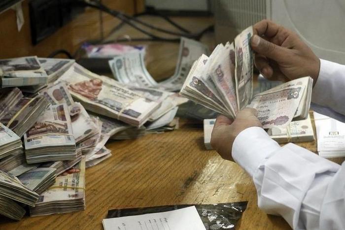 An employee counts money at a bank in Cairo September 4, 2014.  REUTERS/Asmaa Waguih