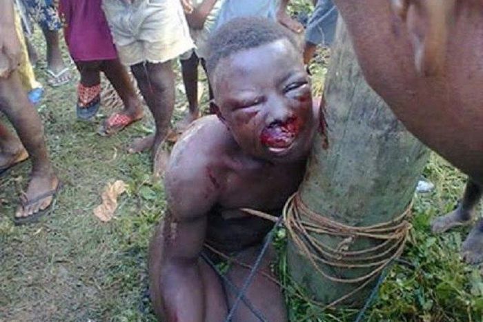 The suspected plantain thief