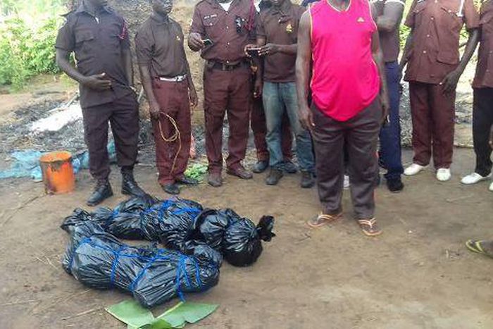 The corpses packed up