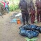 The corpses packed up