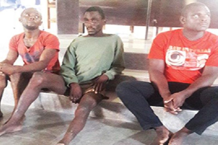 The serial rapists in the cage