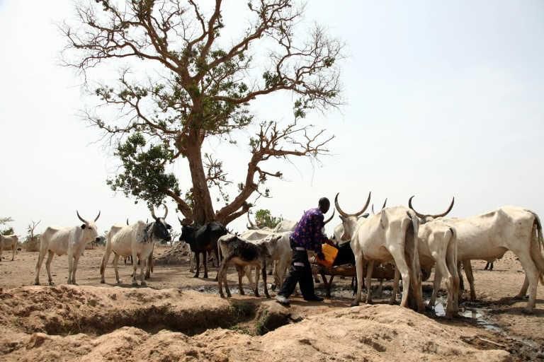 Buhari task governors to find lasting solutions to farmers/herdsmen crisis