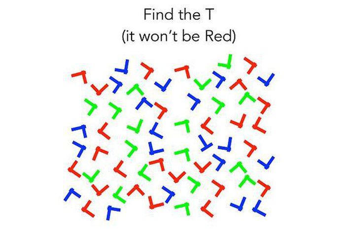 How many T's can you find in this photo?