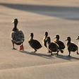 How to make your followers do what you want