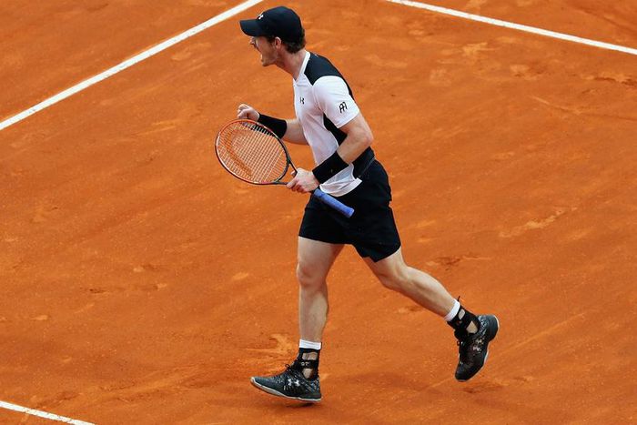 ___5035261___https:______static.pulse.com.gh___webservice___escenic___binary___5035261___2016___5___15___23___andymurraycropped_12jlryhw1j3yf1uxjmka4klczw_1