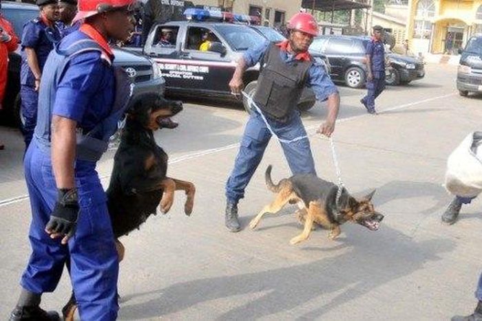 Sallah: NSCDC deploys 870 personnel in Sokoto State -- Commandant.
