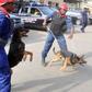Sallah: NSCDC deploys 870 personnel in Sokoto State -- Commandant.