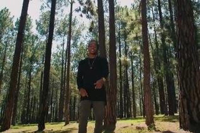 Dr jazz imperfect life