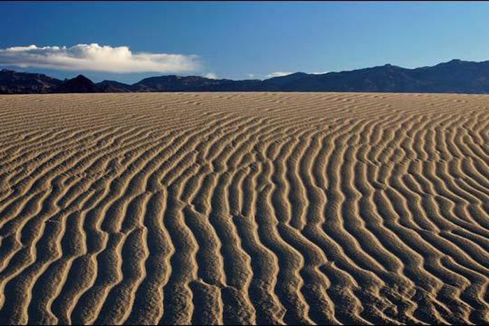 Start off your week on a great note!