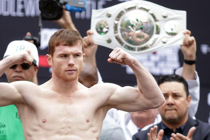 ___5051666___https:______static.pulse.com.gh___webservice___escenic___binary___5051666___2016___5___19___13___saulcaneloalvarez-cropped_8dwzlw070v2e19h1ac9yzc5nd