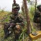 Three Red Cross workers kidnapped in Congo by suspected rebels