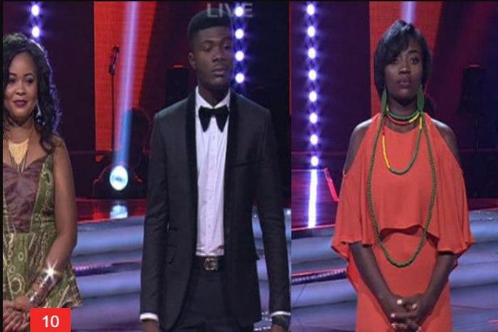 The Voice Nigeria Live Shows