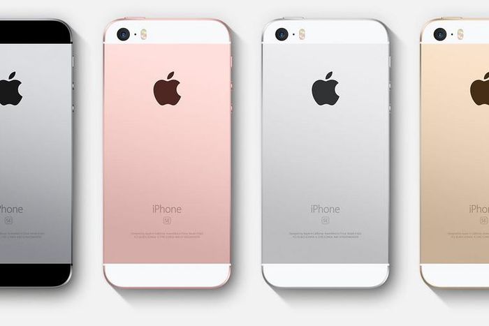 iPhone SE variants