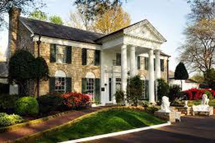 ___4999594___https:______static.pulse.com.gh___webservice___escenic___binary___4999594___2016___5___5___20___Graceland