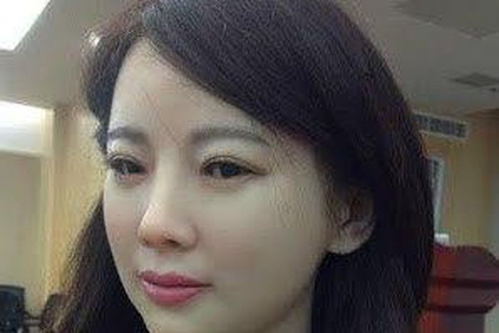 Human-like robot, Jia Jia