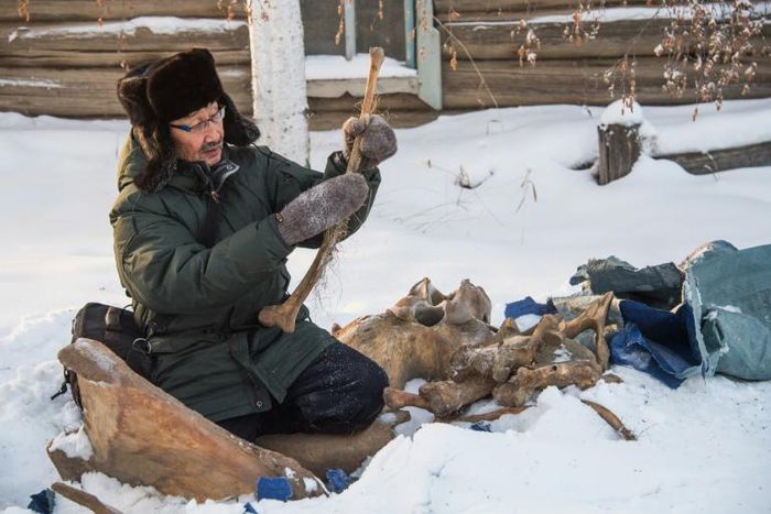 Prokopy Nogovitsyn shows part of a mammoth skeleton in the backyard of his house in a village in the northern Siberian region of Yakutia