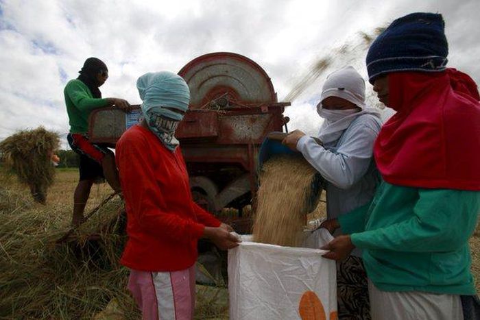 Philippine rice farmer killed as drought protest turns violent