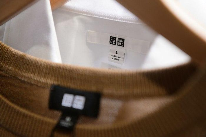 Fashion line has new creative director