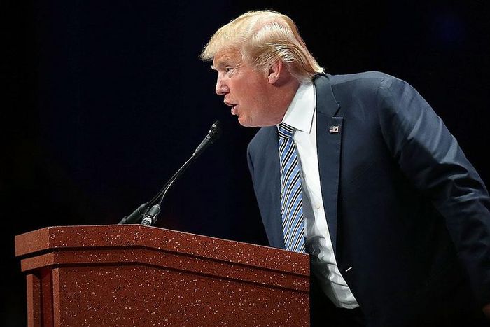 Pulse News Agency International By Reuters