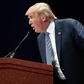 Pulse News Agency International By Reuters