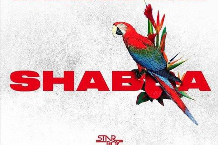 ___5218668___https:______static.pulse.com.gh___webservice___escenic___binary___5218668___2016___7___2___8___Wizkid-Shabba-Art