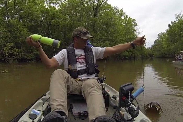 Man catches an alligator instead of a catfish [video]