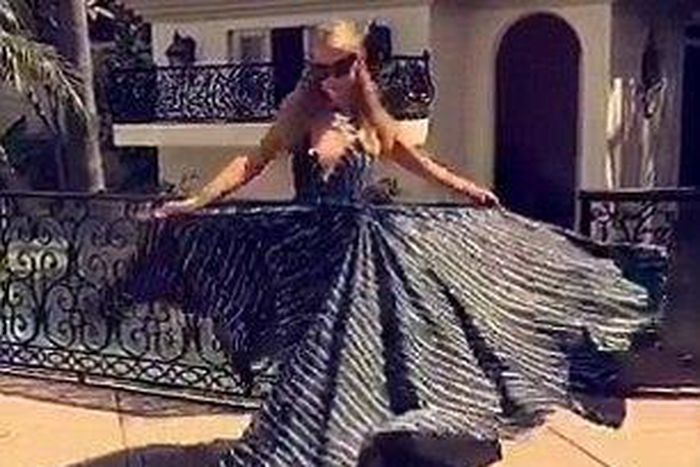 Paris Hilton's dogs' two-story mansion