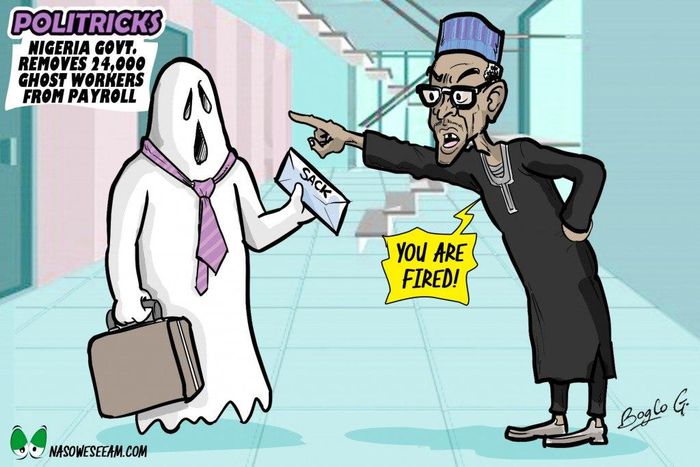 LG Verification: Adamawa Govt uncovers 12,000 ghost workers