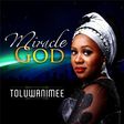 Toluwanimee-Miracle-God artwork