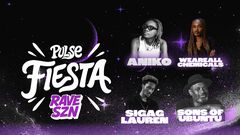 Pulse Fiesta 2025