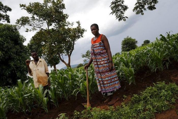 Malawian subsistence farmers Simon Sikazwe (L) and Cecelia Kazibuta (R) stand beside communal maize fields in Dowa near the capital Lilongwe, February 3, 2016. REUTERS/Mike Hutchings
