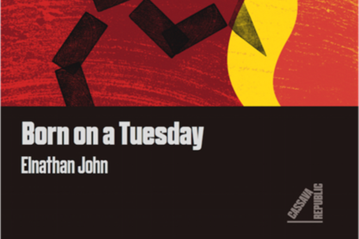 Book Cover for 'Born on Tuesday'