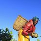 A woman picks tea leaves at a plantation in Nandi Hills, in Kenya's highlands region west of capital Nairobi, November 5, 2014. REUTERS/Noor Khamis