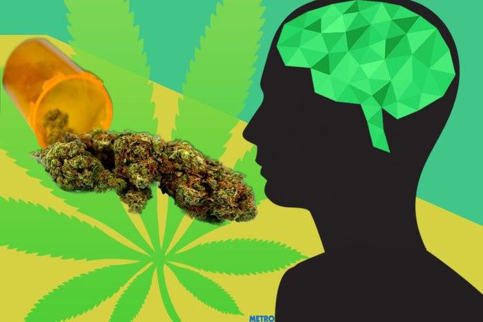 Cannabis doesn’t lower IQ but smoking tobacco does