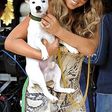 ___4613864___https:______static.pulse.com.gh___webservice___escenic___binary___4613864___2016___1___27___16___mariah-carey+dogs