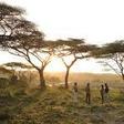 ___4648084___https:______static.pulse.com.gh___webservice___escenic___binary___4648084___2016___2___4___17___Serengeti