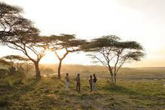 ___4648084___https:______static.pulse.com.gh___webservice___escenic___binary___4648084___2016___2___4___17___Serengeti